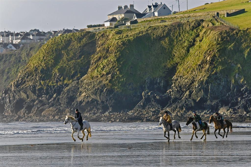 Haven Tramore
